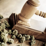 7 mitos da legalização da maconha: procurador desmonta argumentos a favor da droga