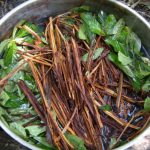 Quais são os perigos da ayahuasca? Entenda